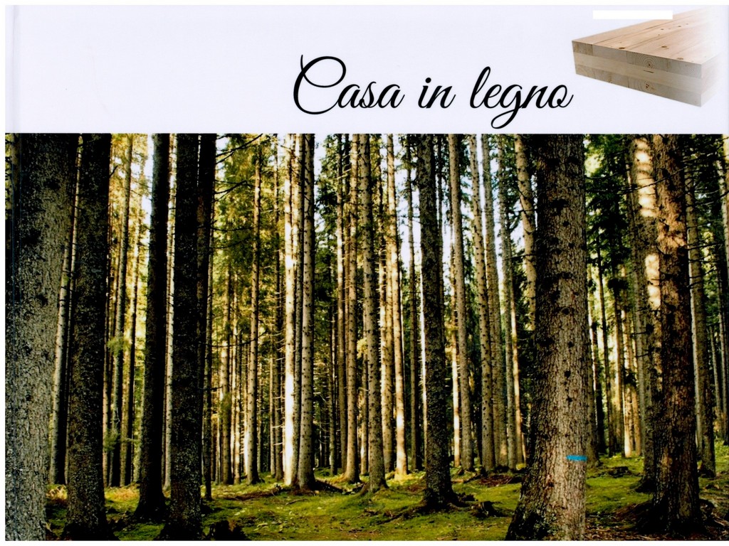 Case in legno